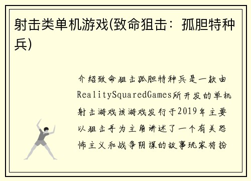 射击类单机游戏(致命狙击：孤胆特种兵)